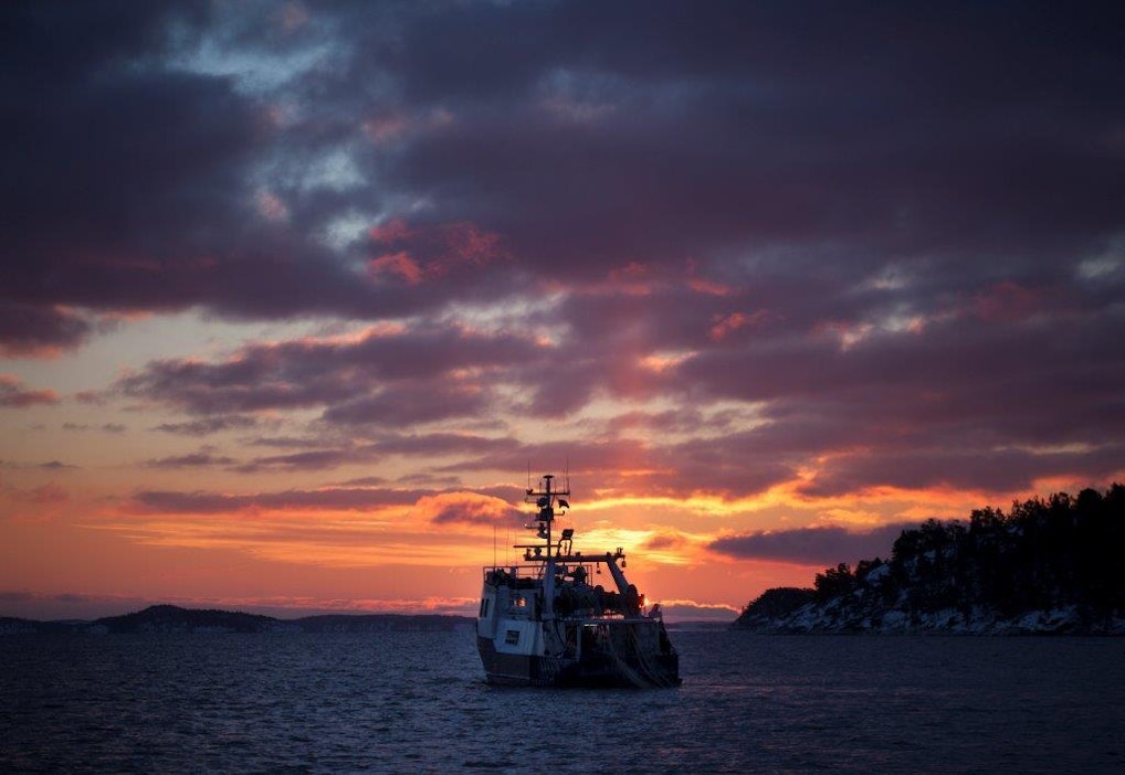 Kalastus on tärkeä elinkeino monessa saaristokunnassa. Kuva on Kustavista.