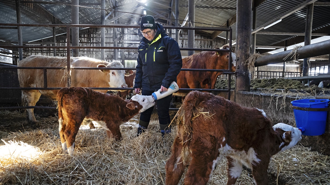 Kujalan tila sai Vuoden lähiruokateko -palkinnon.