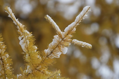 Ensilumi sulaa todennäköisesti huomenna tiistaina.