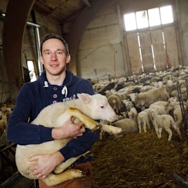 Eemeli Piesalan lampaiden on tarkoitus tulevaisuudessa tuottaa tilalle energiaa. Isäntä etsii kuivikelannan kompostoinnin kaupallistamiseen tähtäävälle yritykselleen Pasrea Oy:lle jatkorahoitusta ja toimitusjohtajaa.