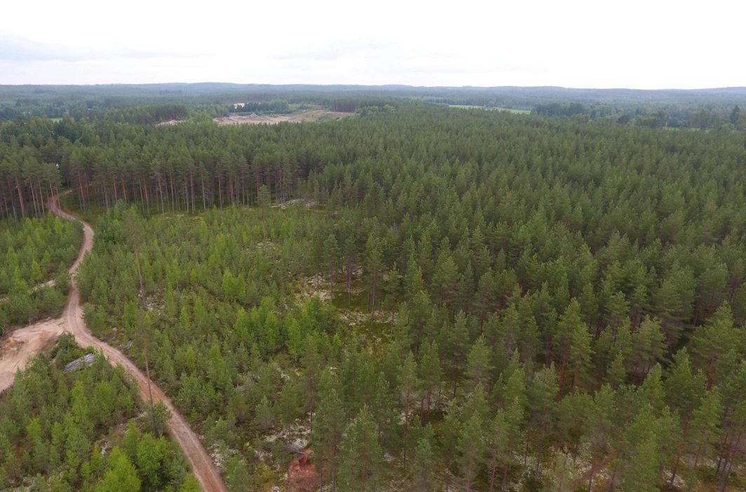 Kestävä maankäyttö tarjoaa ilmastonmuutoksen hillinnän lisäksi ratkaisuja ruoan riittävyyden varmistamiseen, kestävän kehityksen tavoitteiden saavuttamiseen ja luonnon köyhtymisen pysäyttämiseen, ilmastopaneelin raportti muistuttaa.