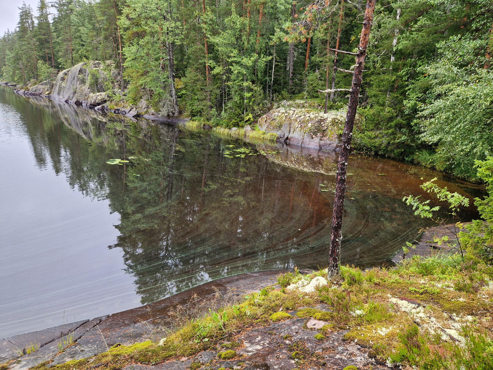 Sinilevää saattaa ilmaantua myös karuihin järviin.