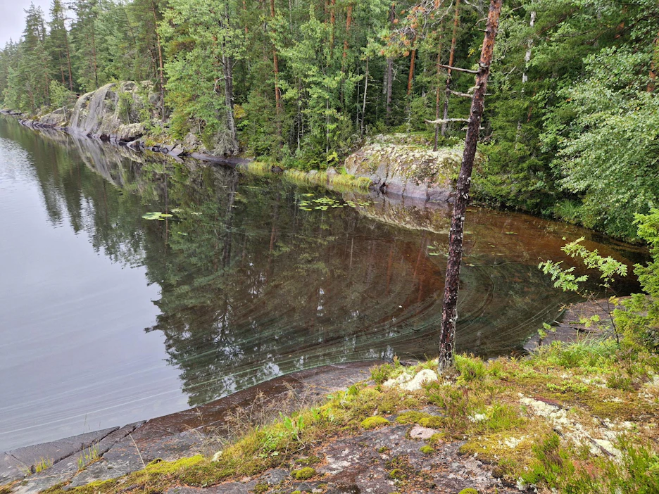 Tyynellä säällä sinilevää voi kerääntyä loppukesästä ja alkusyksystä näkyville myös sellaisissa järvissä, joissa veden sinileväpitoisuus on pieni.