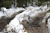 Puunkorjaajat odottava talvea sekä Keski-Ruotsissa että Etelä-Suomessa.