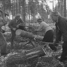 Mottitalkoista otetuilla valo­kuvilla tuettiin kansan taistelu­tahtoa. Tässä edus­kunnan mottitalkoot 19.11.1942, kuvaaja Osvald Hedenström.