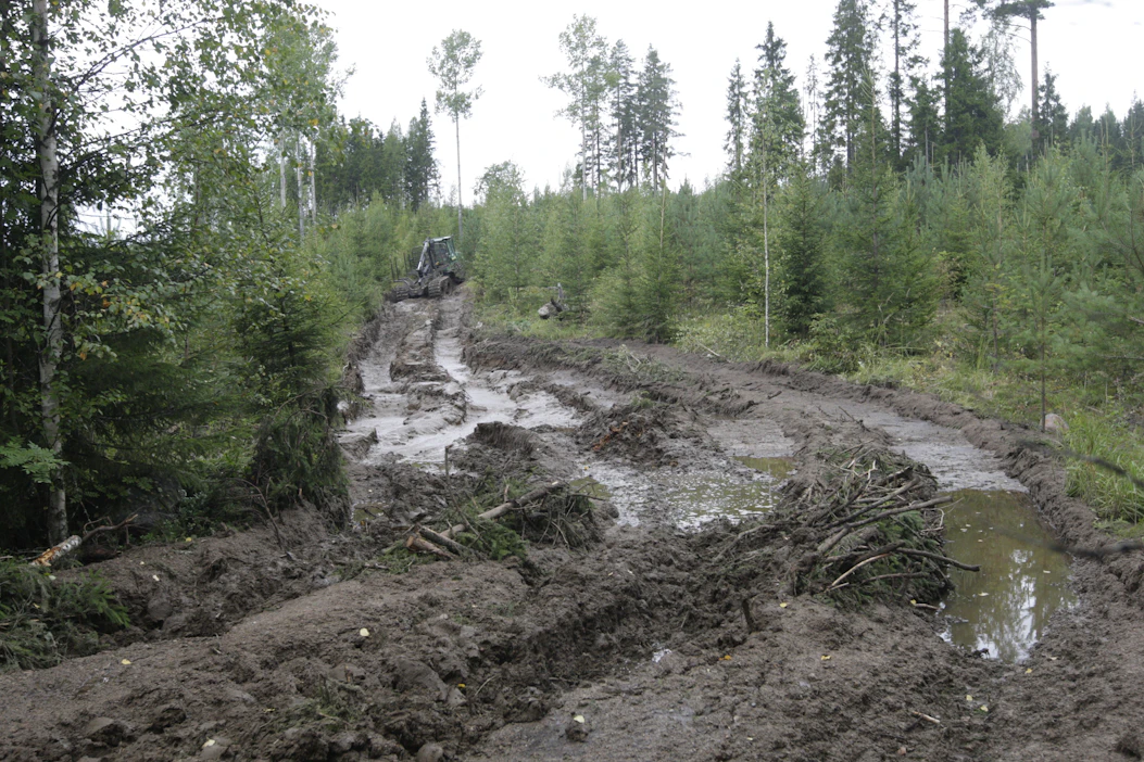Tekoäly auttaa jatkossa metsäkonetta välttämään kosteita paikkoja ja suunnittelemaan edullisimman ajoreitin.