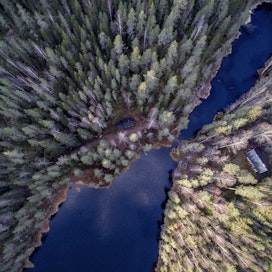 Suomi sijoittui biodiversiteetti-indeksissa toiseksi parhaimmaksi EU-maaksi. Kuva on Isojärven kansallispuistosta.