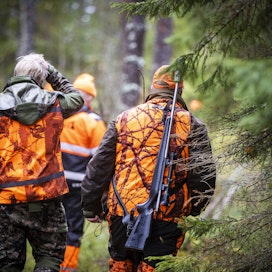 Suurin osa aseluvista myönnetään metsästysperusteella.