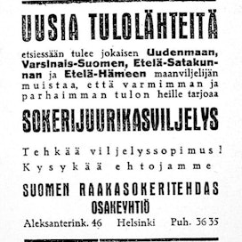100 vuotta sitten Suomen Raakasokeritehdas osakeyhtiö mainosti sokerijuurikasviljelyä Maaseudun Tulevaisuudessa. 