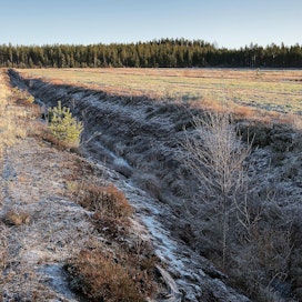 Vuonna 2000 suosta raivattua peltoa Kannuksessa Keski-Pohjanmaalla. Kuvituskuva.