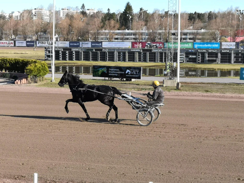 Ubertino Grif treenasi komeassa kunnossa Vermon kaviouralla keskiviikkoaamun rattaillaan nykyinen vakiotreenikumppaninsa Tom Eriksson.