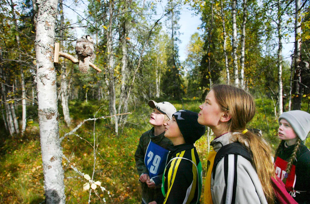Tänä vuonna Metsähallitus on panostanut eräkummitoiminnassa erityisesti koululaisiin.