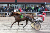 Janne Soronen pääsi jälleen tuulettamaan iloisesti, kun Vixus kirmasi selvään voittoon Satakunta-ajossa.