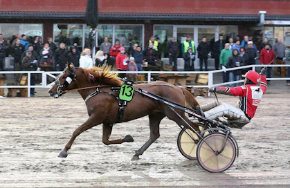 Janne Soronen pääsi jälleen tuulettamaan iloisesti, kun Vixus kirmasi selvään voittoon Satakunta-ajossa.