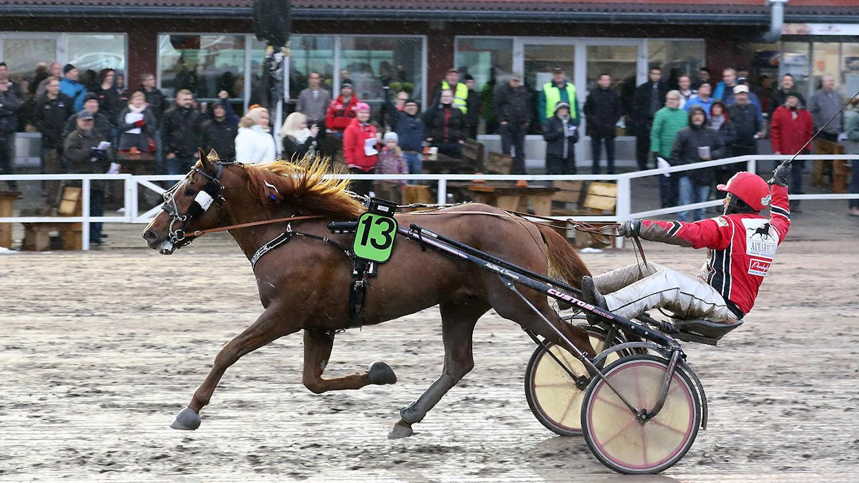 Janne Soronen pääsi jälleen tuulettamaan iloisesti, kun Vixus kirmasi selvään voittoon Satakunta-ajossa.