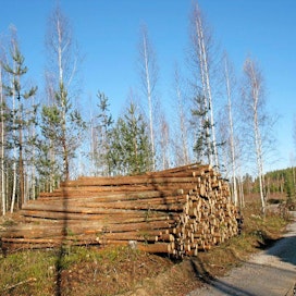 Metsäteollisuuden ostot ovat vähentyneet viidenneksellä lokakuussa.