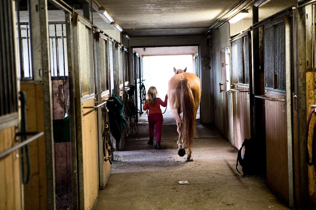Humma on ainoa aarre, tiesi Tapio Rautavaarakin.