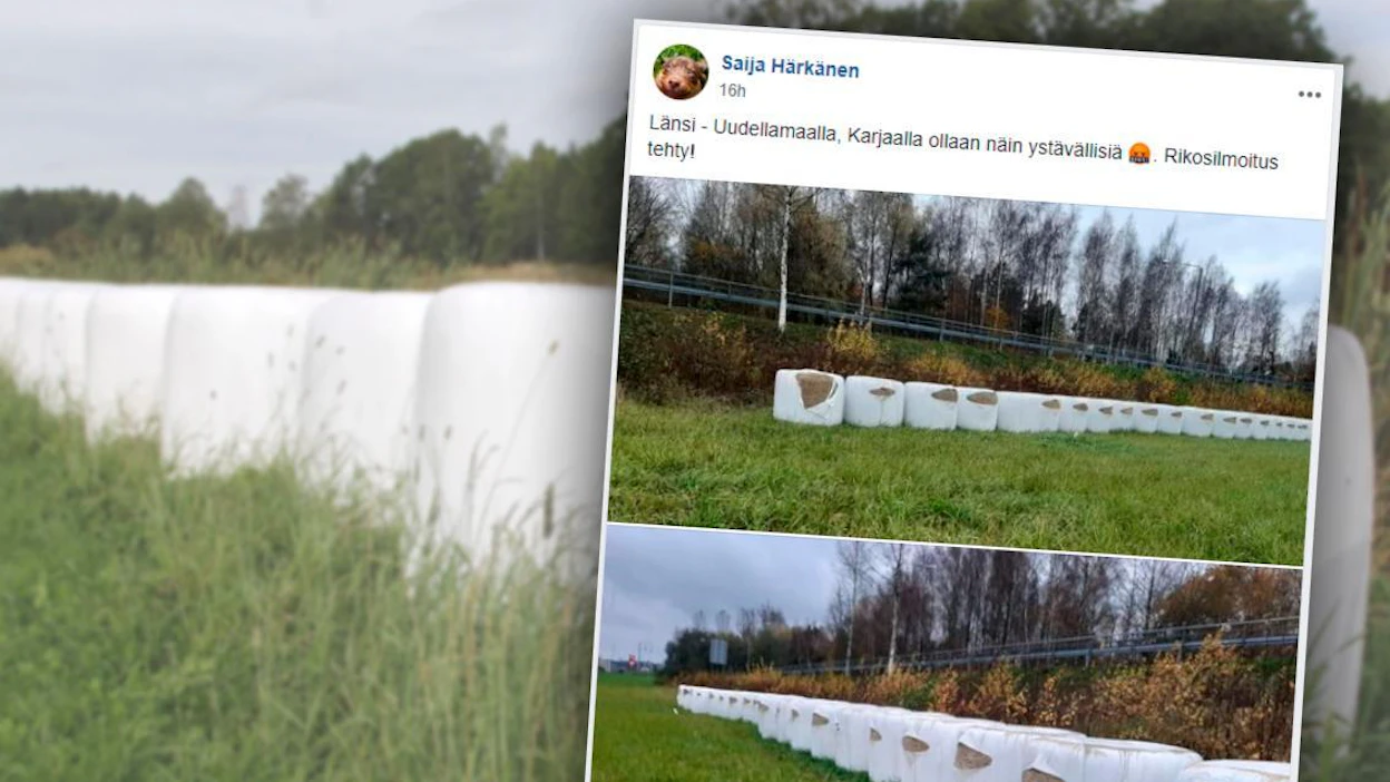 Saija Härkänen kertoi ilkivallasta sunnuntaina Facebookissa. Paalituhoa paheksuttiin laajalti.