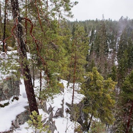 Niin paljon kuin Suomen luonnon vetovoimasta on vuosien mittaan puhuttu, Suomea ei tunneta WEF-arvioinnin mukaan luontokohteistaan. Kuva on Helvetinkolun kansallispuistosta Ruovedeltä.