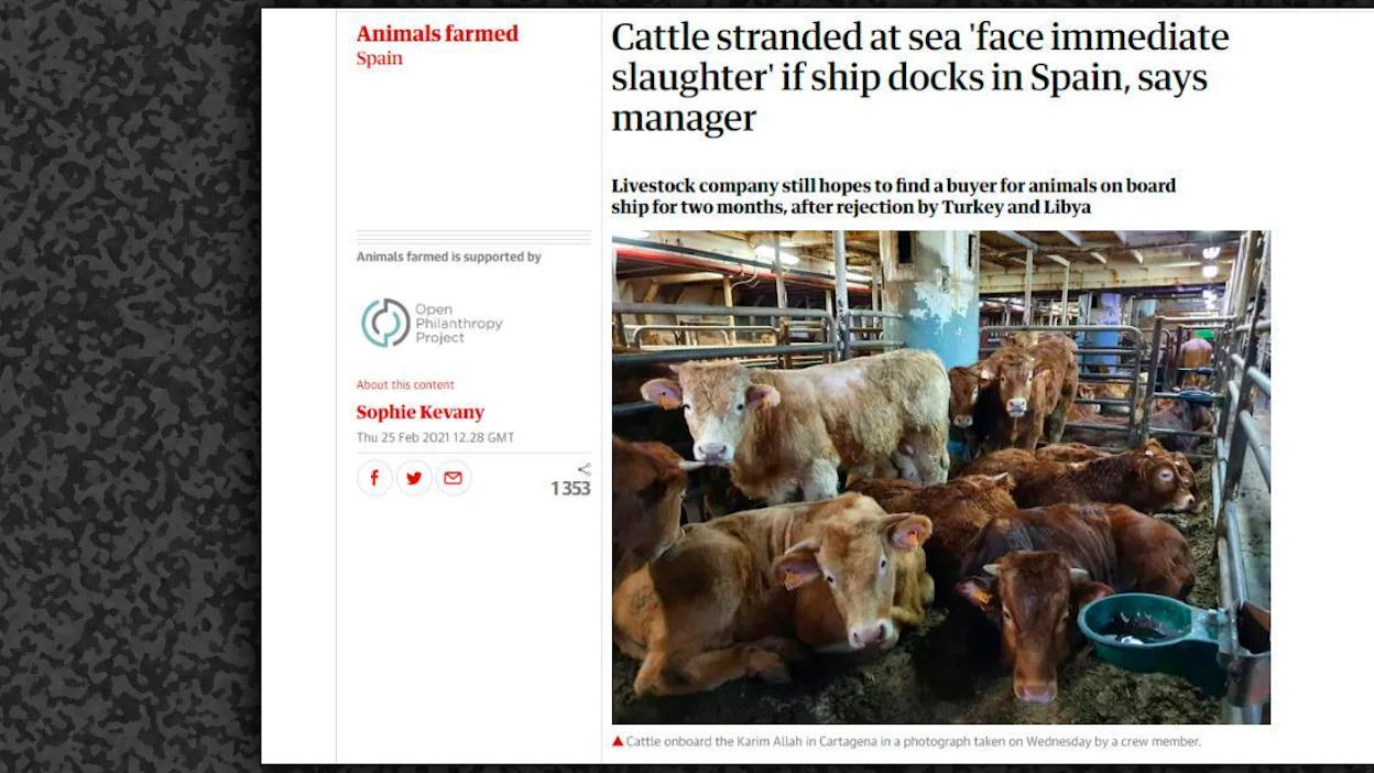 The Guardian -lehti julkaisi Karim Allah -laivan miehistön jäsenen ottaman kuvan laivalta.