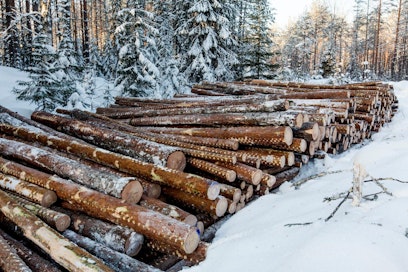 Metsäteollisuus on ostanut yksityismetsistä puuta alkuvuonna 5,2 miljoonaa kuutiometriä.
