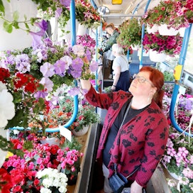 Leila Lahtinen tutustui kukkabussin tarjontaan Porissa viime keskiviikkona.