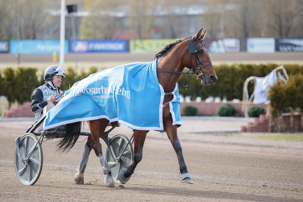 MAS Champ iskee Kajaanissa voiton ja rataennätyksen 12,0 kimppuun. Antti Ojanperän suojatin ohella vihjerivin varmana toimii Kari Alapekkalan treenaama Zola Soft.