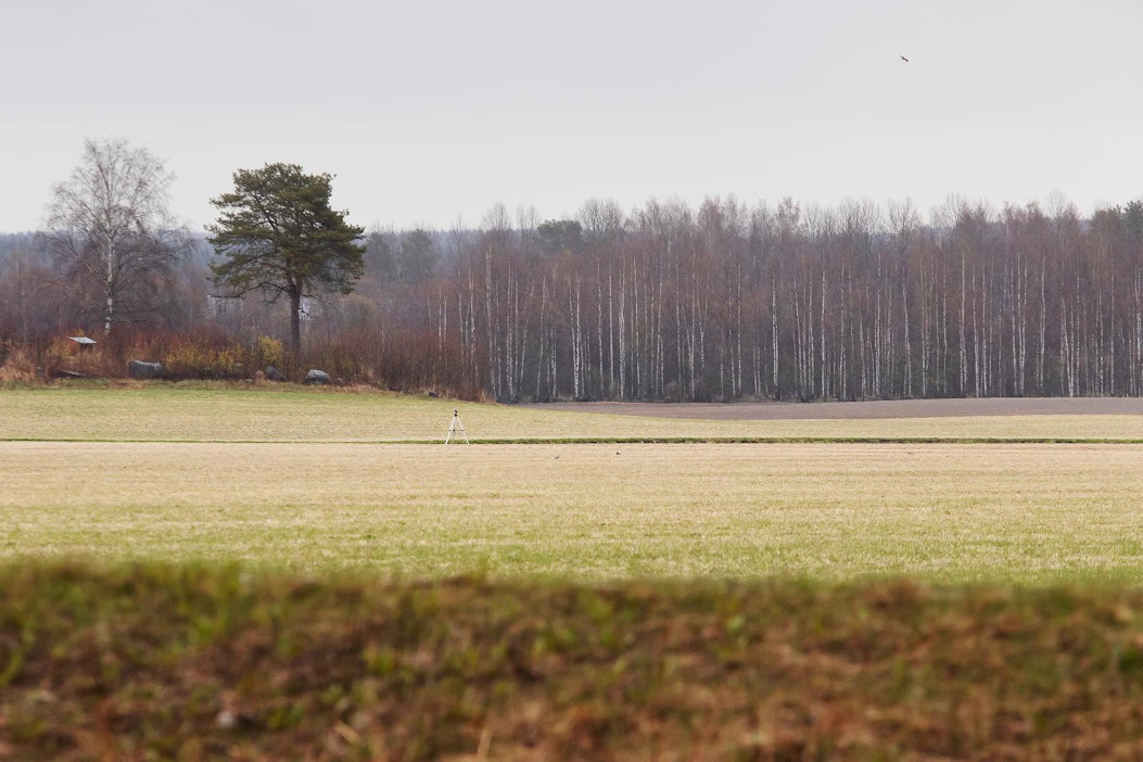 Valkoposki hanhien laskeutumista pelloille syömään yritetään estää monenlaisilla karkotuskeinoilla, mutta hanhet tottuvat niihin nopeasti.