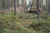 Kajaanin uusi hankintapiiri käsittää Kainuun maakunnan ja Koillismaan. Siihen siirretään alueita nykyisistä Oulun, Kemin ja Joensuun hankintapiireistä, Metsä Groupin Suomen puukaupasta ja metsäpalveluista vastaava johtaja Juha Jumppanen sanoo.