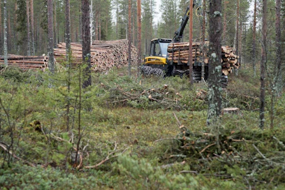 Kajaanin uusi hankintapiiri käsittää Kainuun maakunnan ja Koillismaan. Siihen siirretään alueita nykyisistä Oulun, Kemin ja Joensuun hankintapiireistä, Metsä Groupin Suomen puukaupasta ja metsäpalveluista vastaava johtaja Juha Jumppanen sanoo.