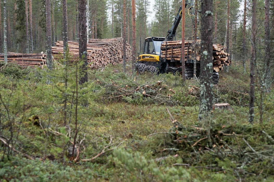 Metsä Group perustaa uuden Kajaanin hankintapiirin – puuta tarvitaan 4,5  miljoonaa kuutiometriä lisää Kemin biotuotetehtaan käynnistyessä - MT Metsä  - Maaseudun Tulevaisuus