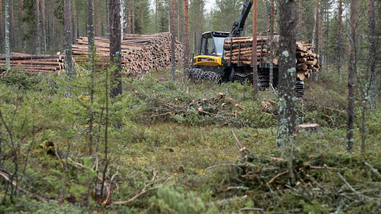 Yritysoston tehneen Kumeko Groupin tarkoituksena on vahvistaa ja kehittää puunhankintaansa Pirkanmaalla, laajentaa hankinta-aluettaan ja terminaaliverkostoaan.