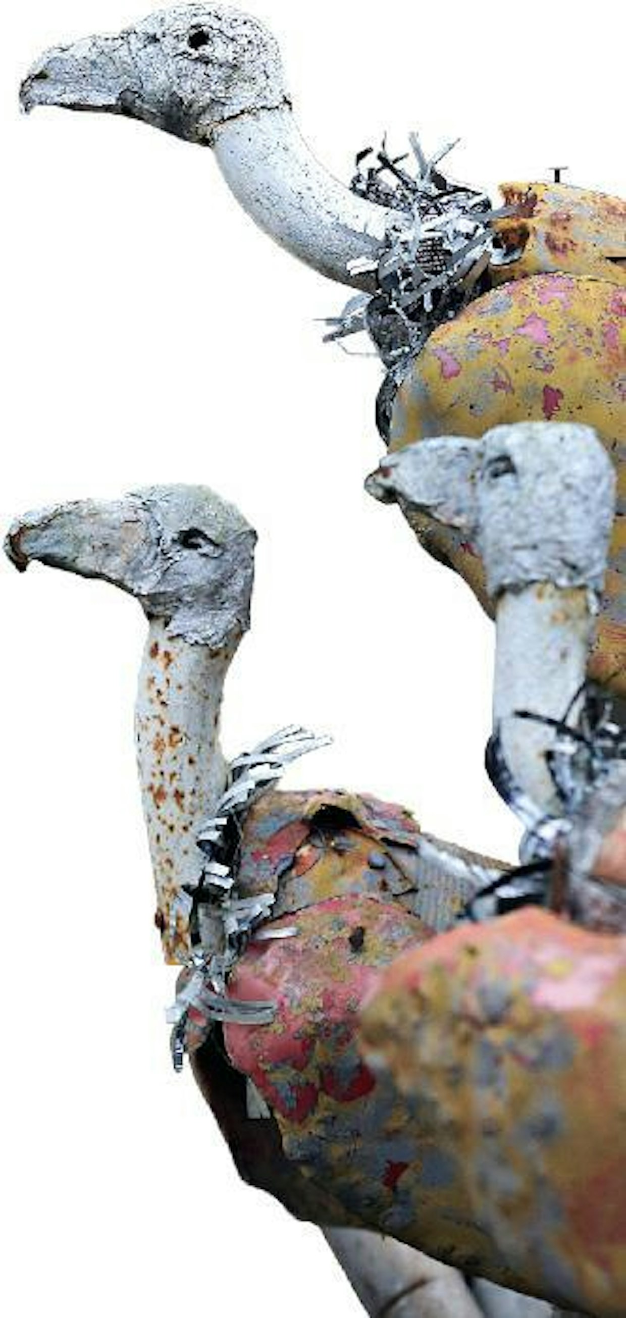 Trooppiset siipiniekat ihmettelevät savannin meininkiä.