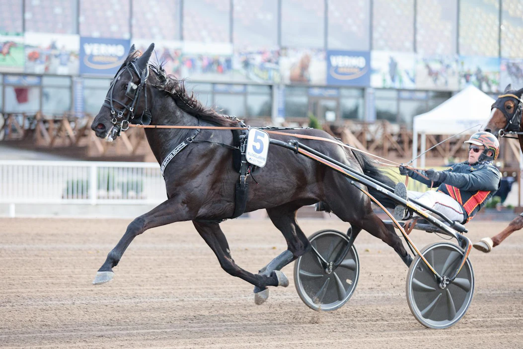 Fredrik B Larsson oli viime kerralla Finlandia-ajossa lähinnä matkustajan roolissa, kun Milliondollarrhyme oli liian innokas. Tämän kevään suuri maali on Elitloppet.