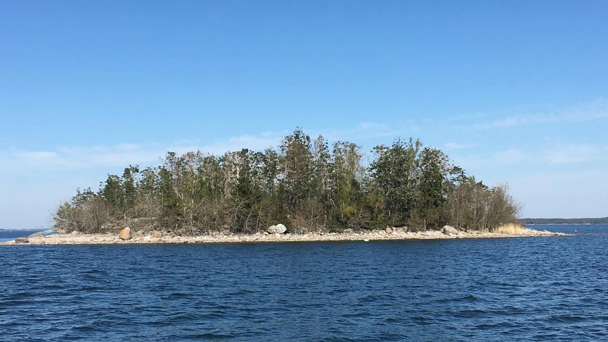 Airiston keskellä Saaristomerellä sijaitseva Juusonkarin saaren puusto on merimetsojen jäljiltä vahingoittunut. Palautuminen on Timo Metsolan arvion mukaan alkanut, mutta se vie vuosia.