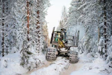 Kotimaan metsissä riittää harvennusrästejä.
