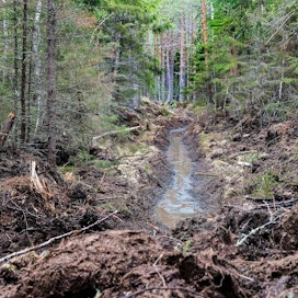 Viimeisen kymmenen vuoden aikana metsää on otettu Suomessa muuhun maankäyttöön vuosittain noin 19 000 hehtaaria vuodessa.