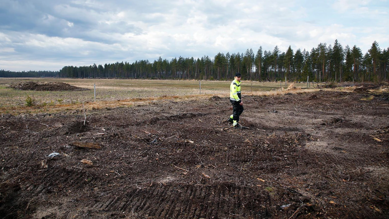 Raahelainen viljelijä Sauli Joensuu kävelee tukikelvottomalla raiviopellolla. Taustalla tukikelpoista vanhaa peltoa. Jatkossa aluetta viljellään yhtenäisenä.