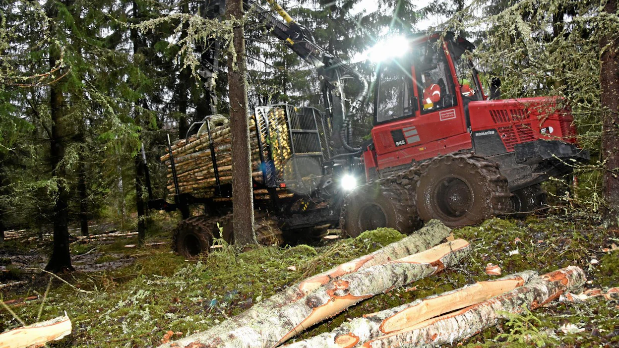 Komatsu 845 on riittävän ketterä kone kaikenlaisille työmaille harvennuksista päätehakkuisiin. Tammikuun puolessavälissä maasto alkoi olla turhan pehmeää keskiraskaan sarjan koneellekin.