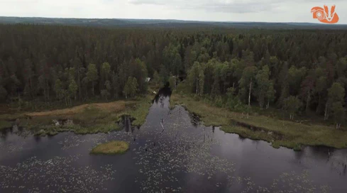 Taivalkoskella ja Pudasjärvellä kunnostetaan kalojen kulun estäviä siltarumpuja.