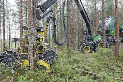 Ainespuun ja energiapuun korjuu harvennushakkuu metsänhoito hakkuu moto monitoimikone hakkuukone joukkokäsittely useita runkoja samalla kertaa