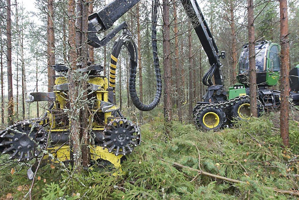 Ainespuun ja energiapuun korjuu harvennushakkuu metsänhoito hakkuu moto monitoimikone hakkuukone joukkokäsittely useita runkoja samalla kertaa