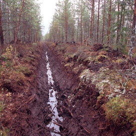 Esimerkiksi metsätaloudessa EU:n kaavailema ilmastokestävä luokittelu ei hyväksy turvemaiden muokkausta.
