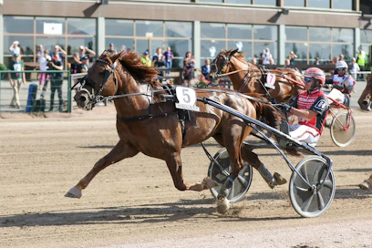 Lauantaina Seinäjoella pyöri Santtu Raitala -show neljän voiton verran. Kuvassa hän voittaa Evartilla kuninkuuskisan avausmatkan.