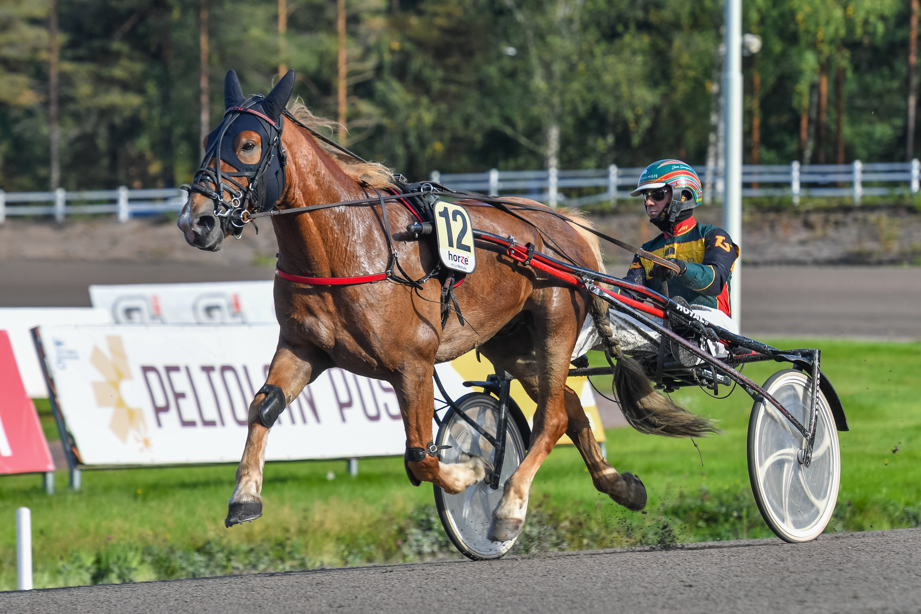 Landen Kundi on Kaustisen keskiviikkorivin avainhevosia. Kuvassa rattailla valmentaja Jani Suonperä.