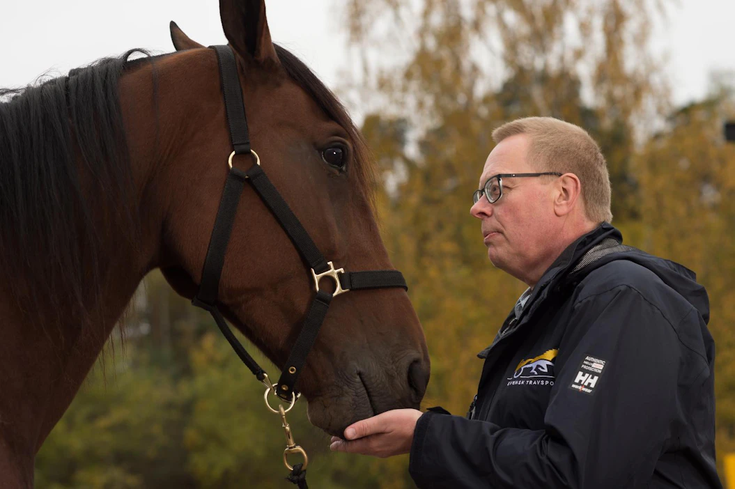 Suomalaissyntyinen Antti Rautalinko on työskennellyt vuodesta 2016 alkaen Ruotsin raviurheilun keskusjärjestön Svensk Travsportin eläinlääkärinä. Hän painottaa raviurheilun yhteiskunnallisen hyväksyttävyyden merkitystä.