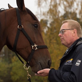 Suomalaissyntyinen Antti Rautalinko on työskennellyt vuodesta 2016 alkaen Ruotsin raviurheilun keskusjärjestön Svensk Travsportin eläinlääkärinä. Hän painottaa raviurheilun yhteiskunnallisen hyväksyttävyyden merkitystä.