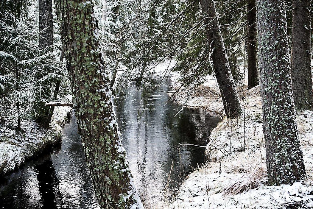 Mynäjoen yhteismetsän mailla virtaa Mynäjoki.
luonto joki vesistö talvi