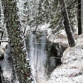 Mynäjoen yhteismetsän mailla virtaa Mynäjoki.
luonto joki vesistö talvi