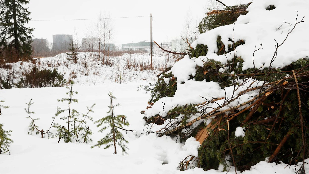 Kiinalainen Kaidi suunnittelee Kemiin Ajoksen alueelle biojalostamoa, joka valmistaisi puusta uusiutuvaa dieseliä ja bensiiniä. Kuva on Ajoksen alueelta vuodelta 2016, kun Kaidi Finland julkisti hankkeen.